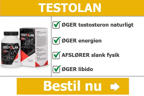 Testolan Resultater